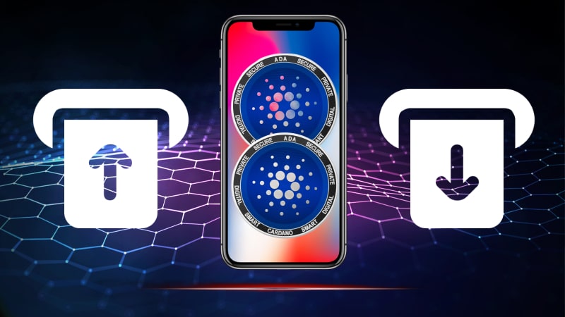 Cardano casinos deposits withdrawals